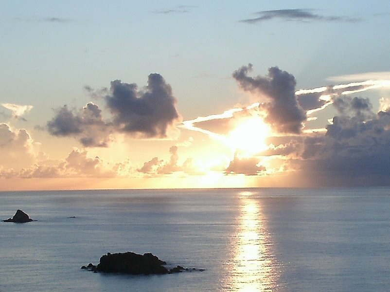 Creating a new normal for the future