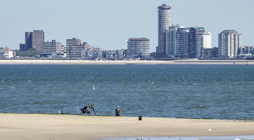 Netherlands will hold 3M liable for PFAS 