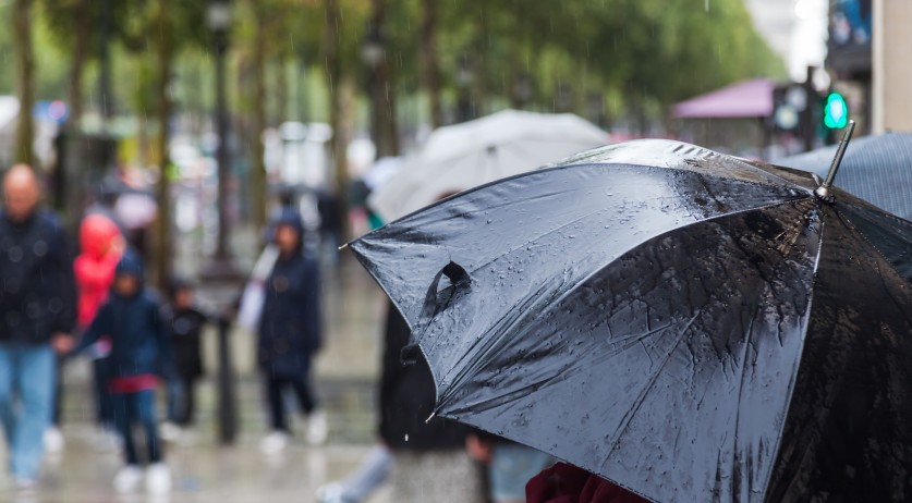 Wettest summer in Netherlands history