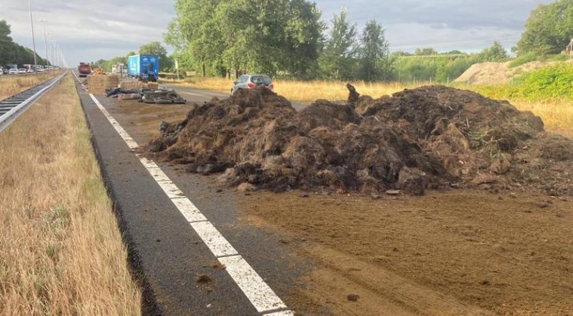 Anti-government extremism on the rise in Northern Netherlands: study