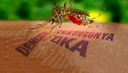 Curaçao not sufficiently prepared for outbreak dengue, Zika and chikungunya